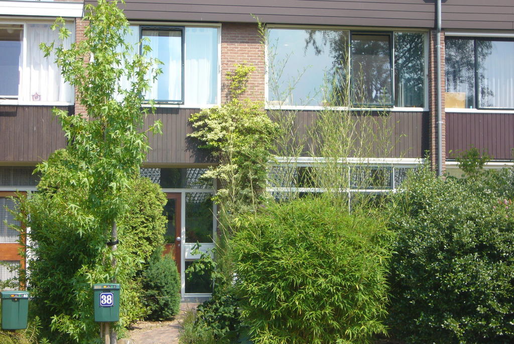 B&B Heijendaal Nijmegen Værelse billede